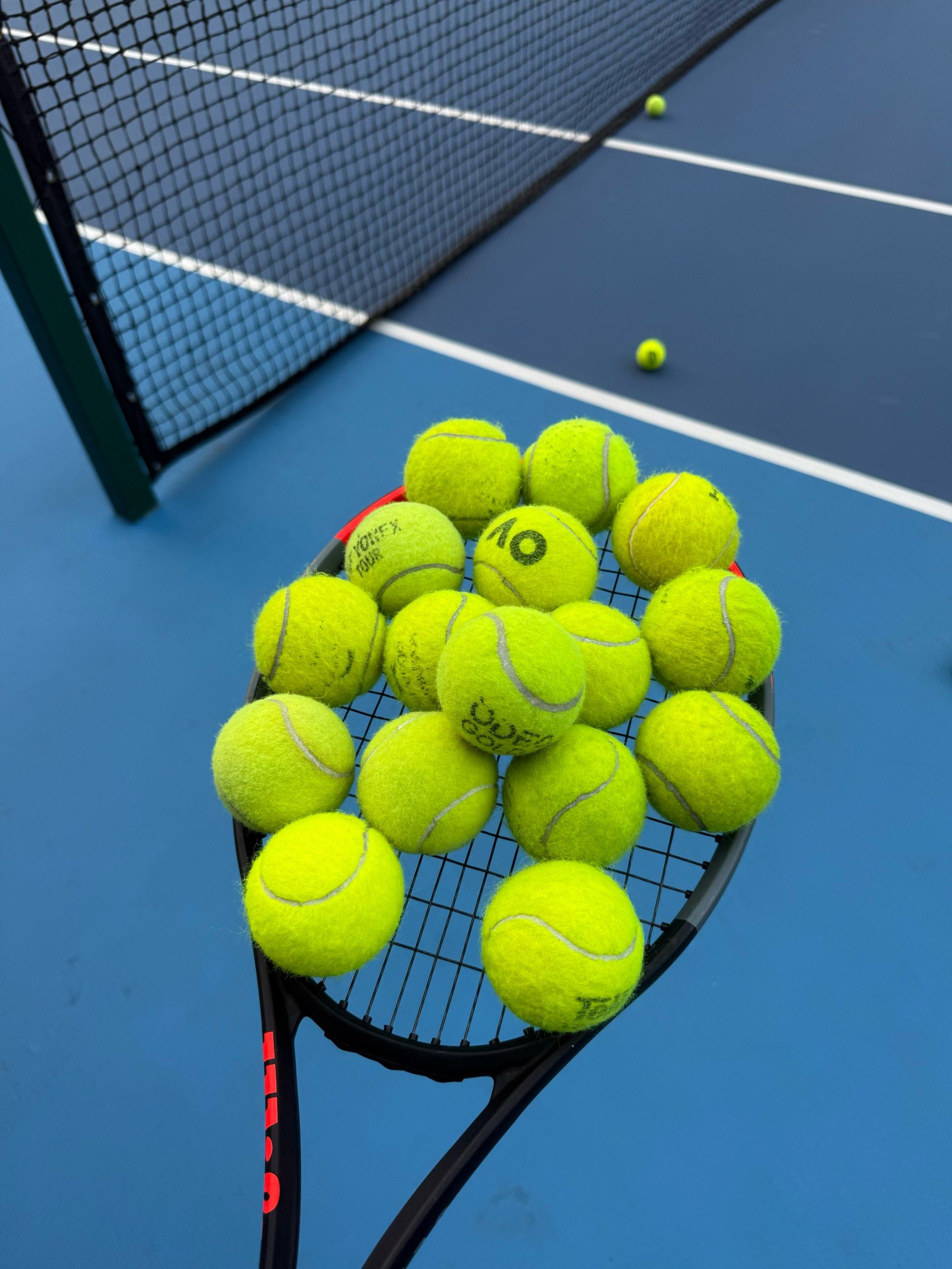 年轻新星 年轻新星