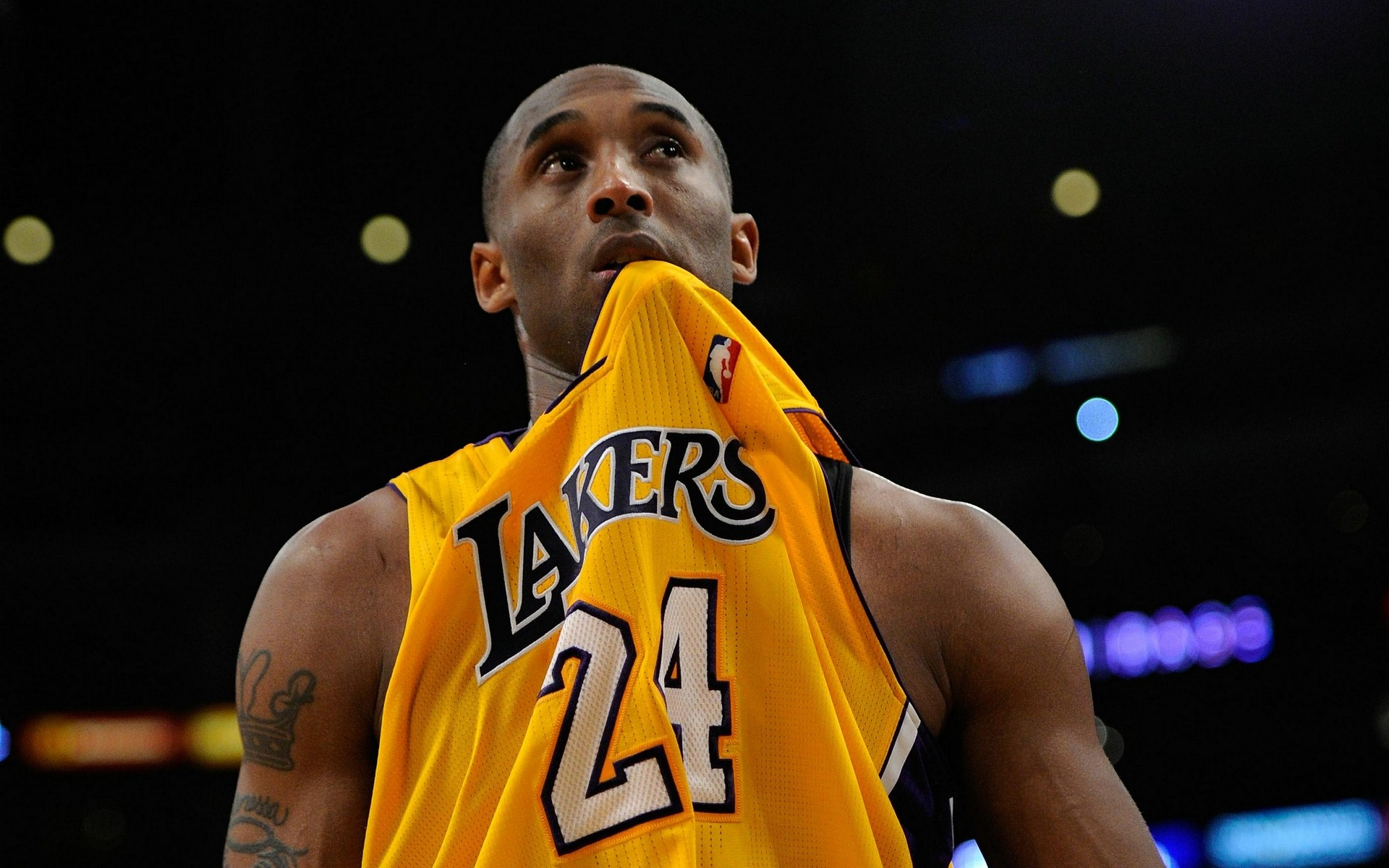 在曾凡博的 在曾凡博的